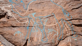 Наскальные изображения верблюдов возрастом 12 000 лет служили древними «указателями» к водным источникам