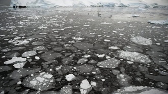 Морской лёд в Антарктике достиг третьего минимального зимнего максимума за всю историю наблюдений