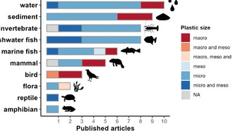 Первое комплексное исследование пластикового загрязнения в Амазонии выявило угрозу для здоровья людей