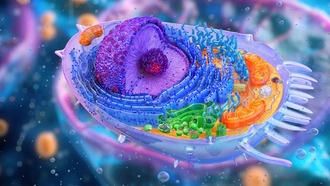 Искусственный интеллект DOLPHIN обнаружил сотни невидимых маркеров рака