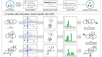 CATNIP для химиков: новый инструмент на базе ИИ упрощает доступ к «зеленой» химии