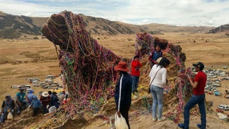 Ученые выяснили, как возникают паломничества