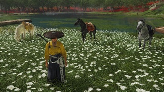 Какую лошадь выбрать в Ghost of Yotei