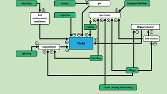Современные методы земледелия угрожают здоровью почв и продовольственной безопасности