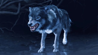 Как призвать и улучшить Волка в Ghost of Yotei