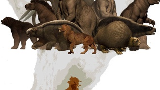 Древние люди в Южной Америке питались гигантскими ленивцами и броненосцами