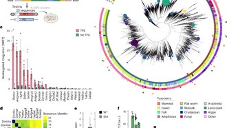 Искусственный интеллект превзошел природу в создании белков для редактирования генома