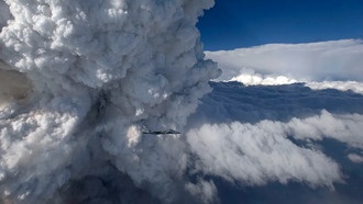 Ученые впервые смоделировали лесной пожар, создающий собственную погоду
