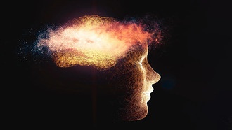 Жировая ткань может способствовать развитию болезни Альцгеймера