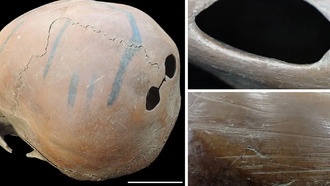 Археологи обнаружили уникальные обработанные человеческие кости в неолитической культуре Лянчжу