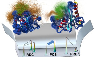 Ученые показали, как ферменты «танцуют» во время работы