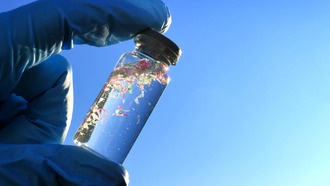 Исследование показало, сколько микропластика скрывается в бутилированной воде