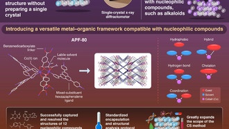 Новый металло-органический каркас открывает путь к анализу структуры алкалоидов