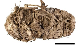 В Испании обнаружены средневековые артефакты в гнёздах бородатых стервятников