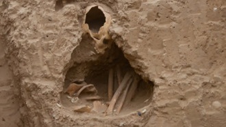 Древние зубы рассказали о жизни первых земледельческих общин