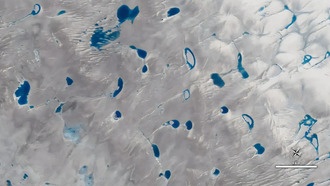 Ученые создали математическую модель для прогнозирования таяния ледников Антарктиды