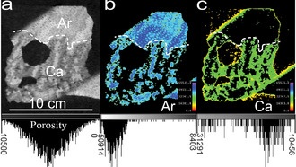 Нейтронное сканирование раскрыло скрытую историю климата Земли в окаменелых кораллах