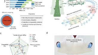 Ученые создали прочный и быстроразлагаемый биопластик из бамбука