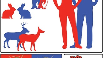 Ученые выяснили, как у плодовых мух возникают различия в размерах между самцами и самками