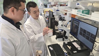 Новый жидкометаллический наноматериал для имплантов борется с инфекциями и ускоряет заживление костей