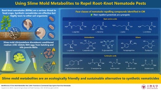 Слизевики помогут защитить урожай от паразитов