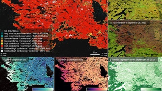 Создана первая система для отслеживания изменений земного покрова в режиме, близком к реальному времени