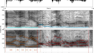 Могут ли собаки когда-нибудь заговорить? Новое исследование взвешивает науку, этику и эволюцию