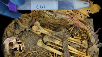 Ученые восстановили микробиом кишечника человека, жившего 1000 лет назад в Мексике