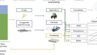 Исследование: происхождение кормов для рыбы важнее их состава для экологии