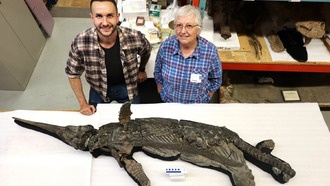 В Великобритании обнаружен новый вид «мечевого дракона» — ихтиозавр