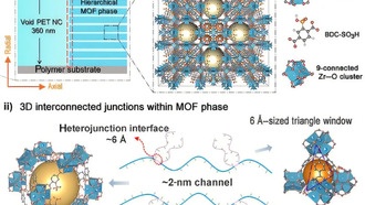 Учёные создали нанофлюидный чип с «мозгоподобной» памятью