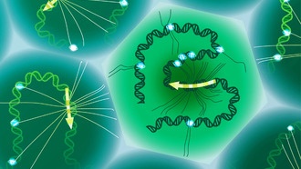 Ученые создали инструмент для одновременного изучения ДНК и РНК в одной клетке