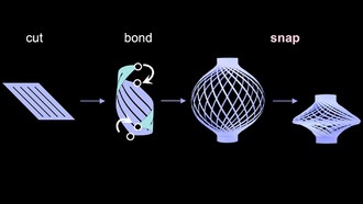 Ученые создали магнитный «фонарик», который двигается как живой