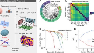 Инженерные принципы помогут быстрее находить биомаркеры заболеваний