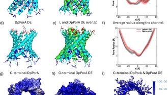 Ученые создали зеркальные нанопоры для борьбы с раком