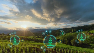 Ученые нашли золото в пищевых отходах