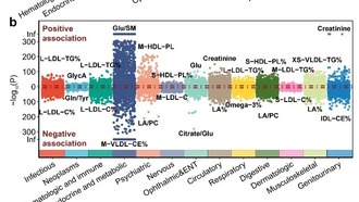 Китайские ученые создали атлас, связывающий метаболиты крови с болезнями человека
