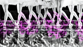 Ученые раскрыли молекулярную хореографию белков, управляющих движением клеток