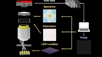 Новая технология сделала вычислительную микроскопию устойчивой к помехам