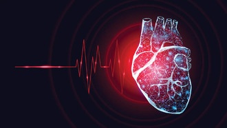 Белок иммунных клеток вызывает опасные аритмии после инфаркта