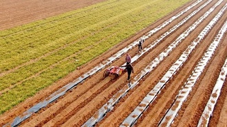 Китайская система устойчивого сельского хозяйства получила признание на глобальной выставке ООН