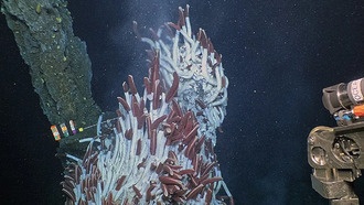 Температура гидротермальных источников предсказывает извержения на дне океана