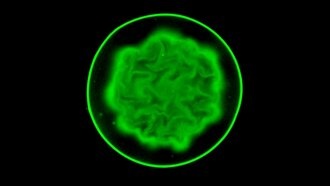 Бактерии в каплях воды образуют сложные узоры в зависимости от уровня кислорода