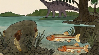 Обнаружен древнейший в Южном полушарии ископаемый комар-звонец с уникальной адаптацией