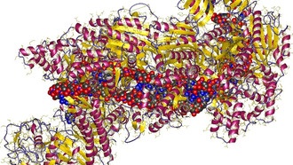 Ученые взломали «пароли» CRISPR для ускорения разработки генной терапии