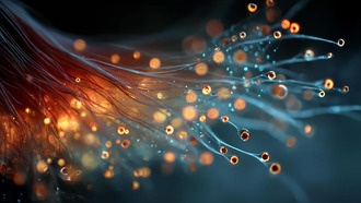 Ученые открыли столетний квантовый секрет для сверхэффективных солнечных панелей