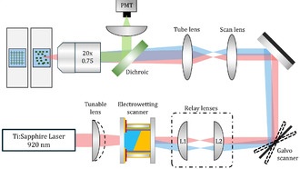 Исследователи разработали жидкостную лазерную систему для сканирования мозга