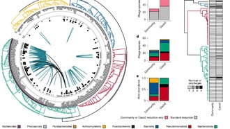 Открыты сотни вирусов в кишечнике, способные влиять на здоровье