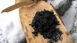 Древняя берестовая смола раскрыла быт первых фермеров Европы 6000-летней давности