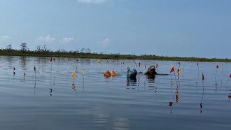 Под водой в Белизе обнаружен комплекс для производства соли майя